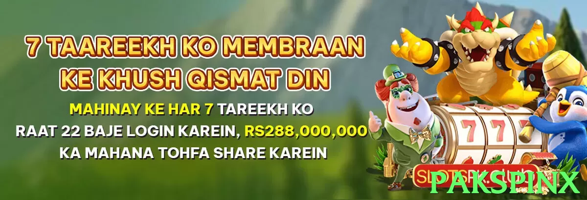 pakspinx interface sample - 3